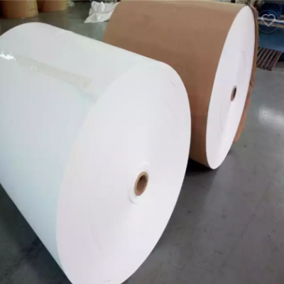 Pe coated FBB paper rolls paper raw material for paper cup