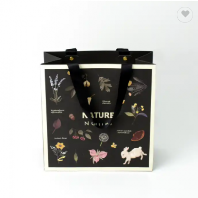 Black ribbon handles portable cosmetics paper bag Illustration printing design white border holiday